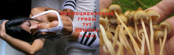 MDMA Абдулино