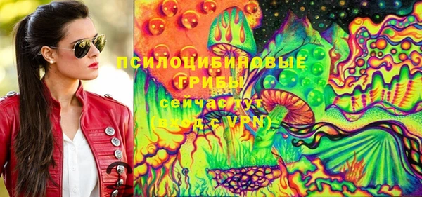 ECSTASY Абаза