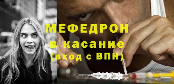 ГАЛЛЮЦИНОГЕННЫЕ ГРИБЫ Дмитриев