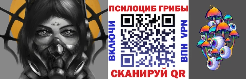 Псилоцибиновые грибы Psilocybine cubensis  Тимашёвск 
